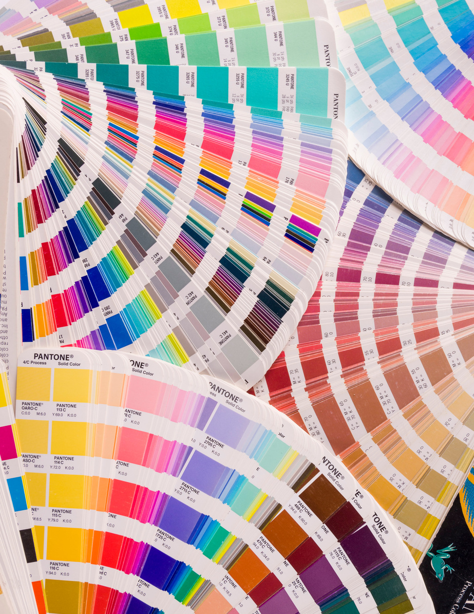 color palette cards